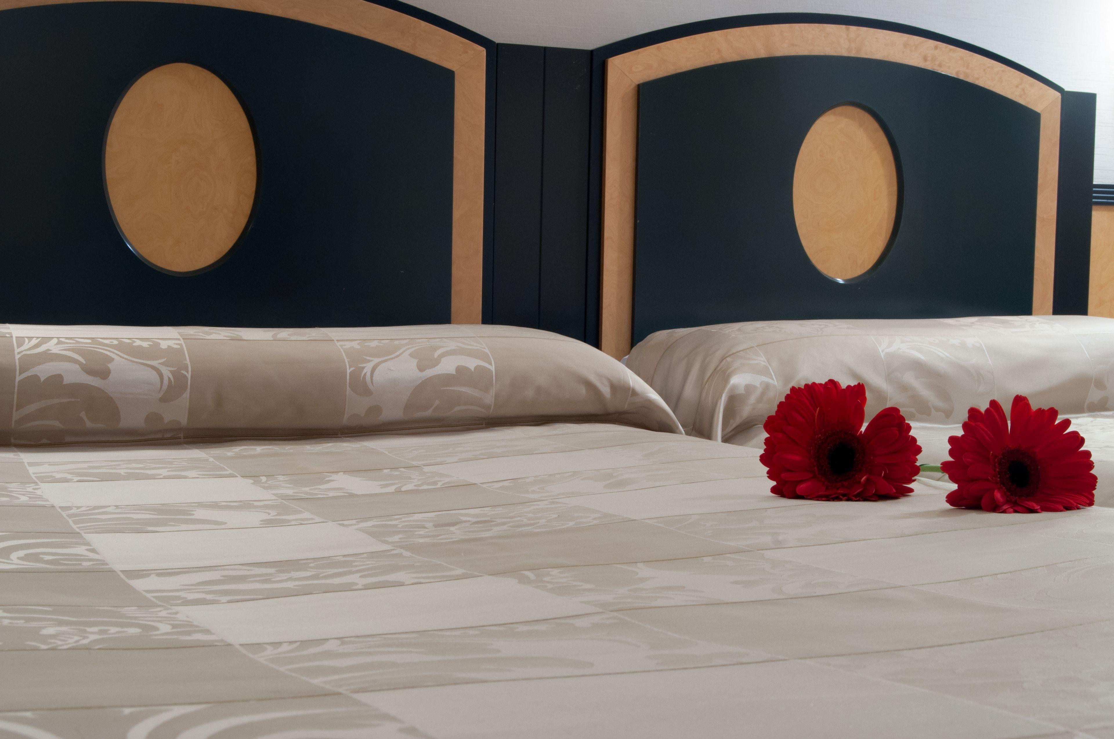 Hotel Macia Condor — Foto’s 2